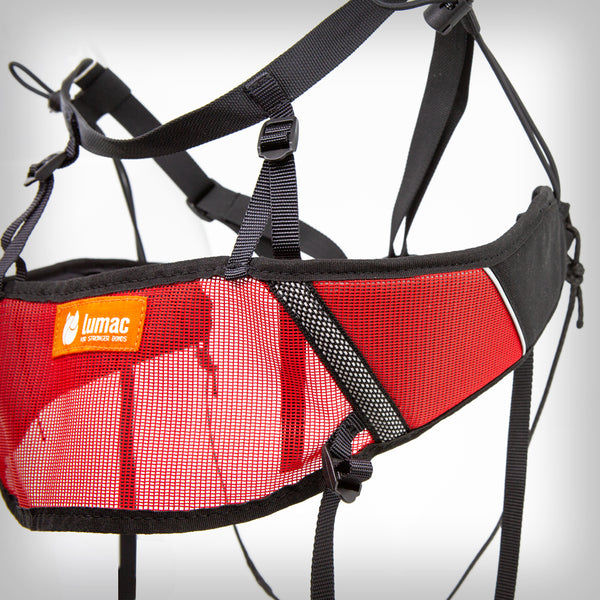 REBELT CANICROSS GURT