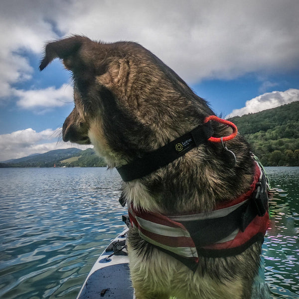 LUMAC NORING HALSBAND