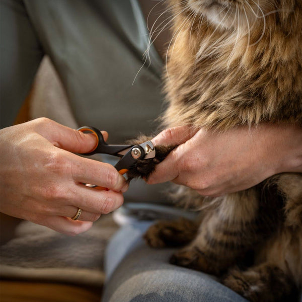FISKARS NAGELSCHERE S