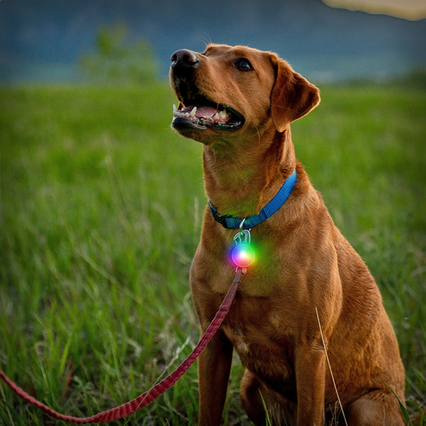 NITE IZE SPOT LIGHT MINI