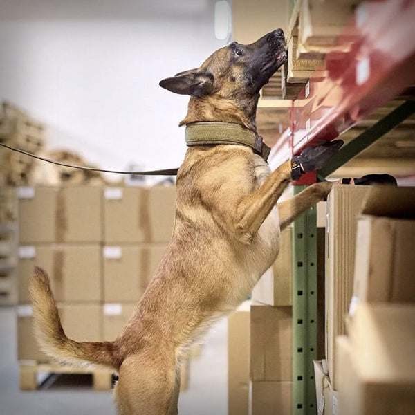 NON-STOP SOLID COLLAR WD