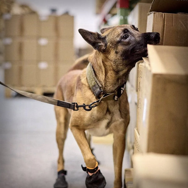 NON-STOP SOLID COLLAR WD