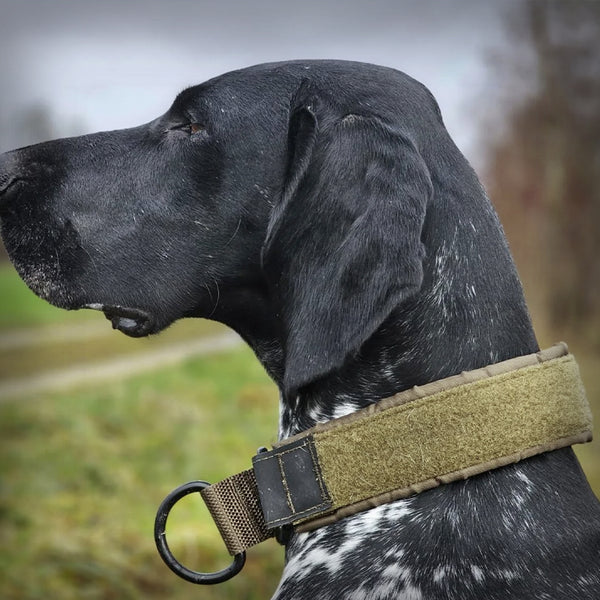 NON-STOP SOLID COLLAR WD