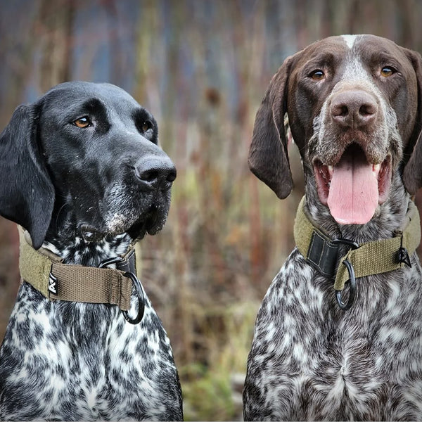 NON-STOP SOLID COLLAR WD