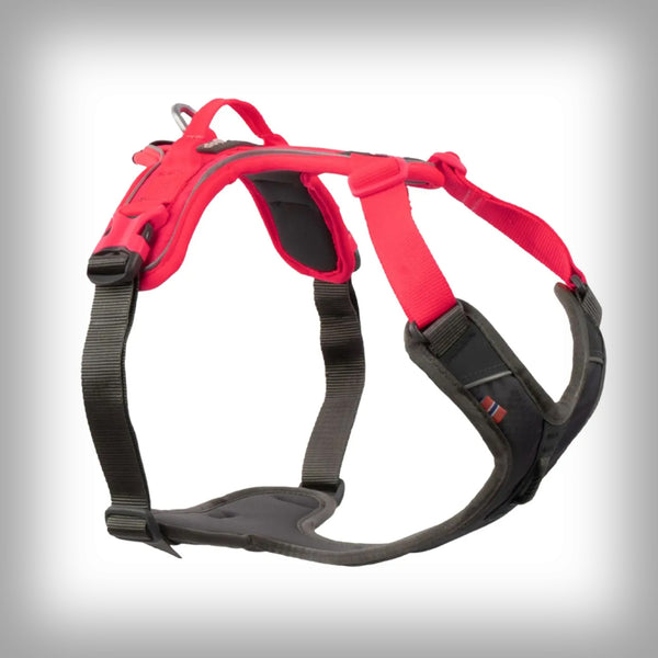 RAMBLE HARNESS
