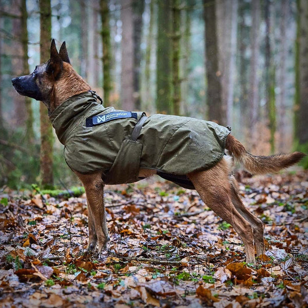 NON-STOP GLACIER JACKET WD