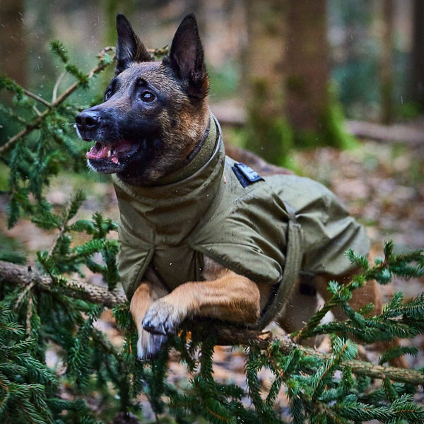 NON-STOP GLACIER JACKET WD