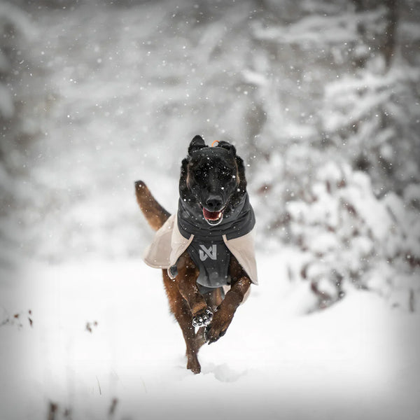 NON-STOP GLACIER WOOL JACKET 3.0