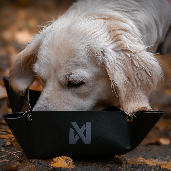 FUTTERSCHALE TREKKING BOWL