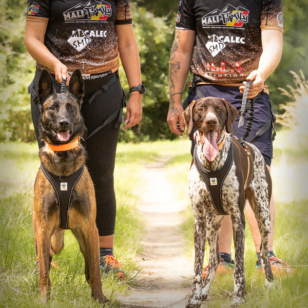 GAMMA AKTIVES LAUFGESCHIRR