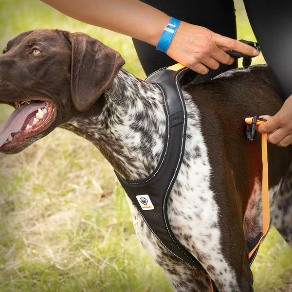 GAMMA AKTIVES LAUFGESCHIRR