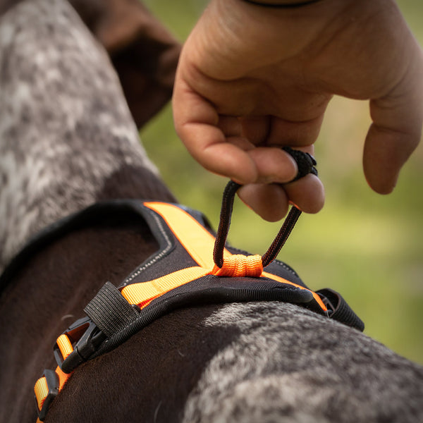 GAMMA AKTIVES LAUFGESCHIRR