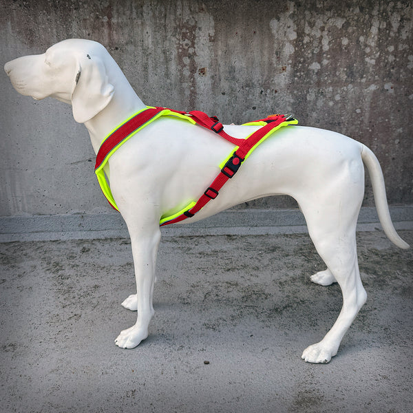 TRAILGESCHIRR NUKKA® MIDI