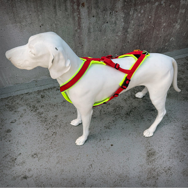 TRAILGESCHIRR NUKKA® MIDI