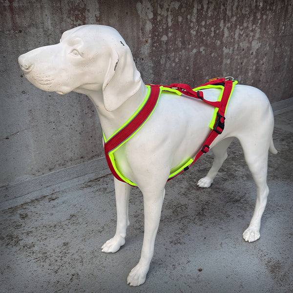 TRAILGESCHIRR NUKKA® MIDI