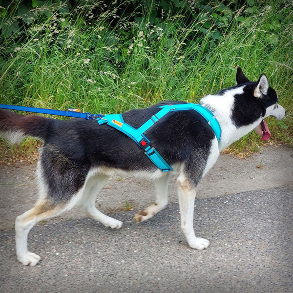 TRAILGESCHIRR NUKKA® MIDI