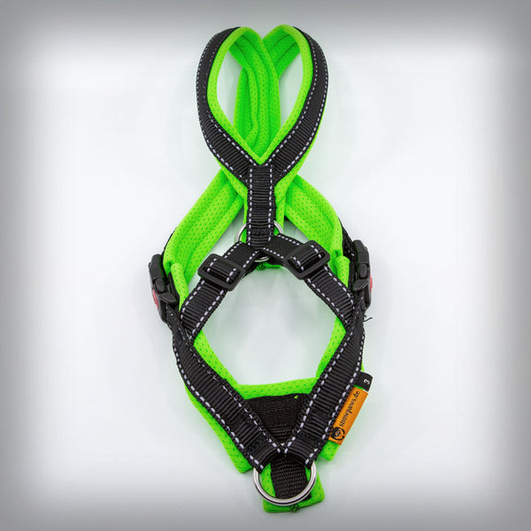 TRAILGESCHIRR NUKKA® MIDI