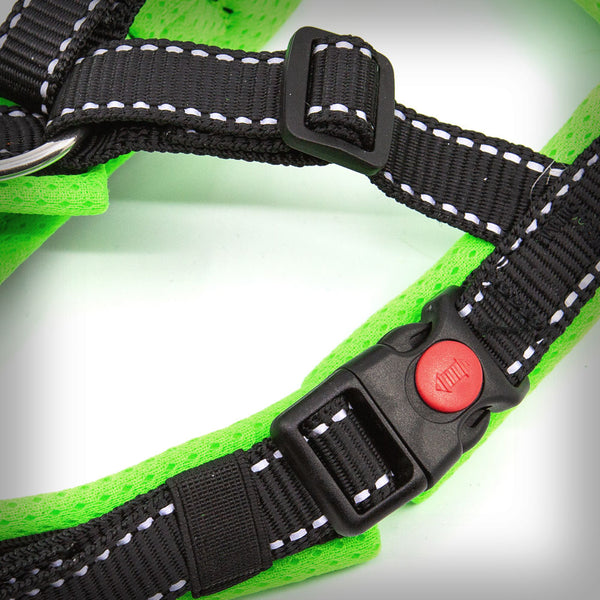 TRAILGESCHIRR NUKKA® MIDI