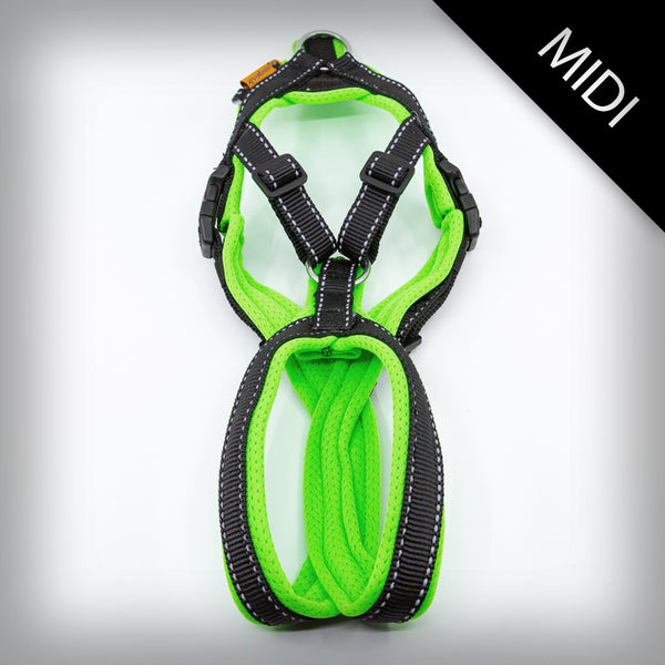 TRAILGESCHIRR NUKKA® MIDI