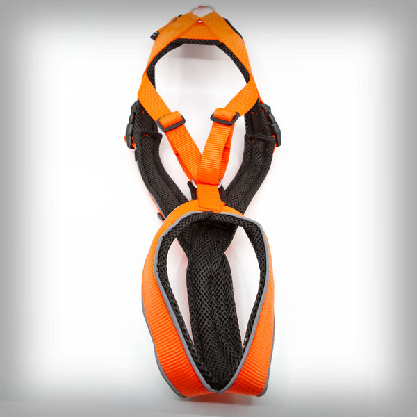 TRAILGESCHIRR NUKKA® MAXI