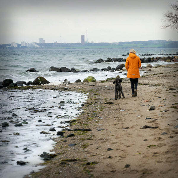 WINTERJACKE ALBANY DAMEN