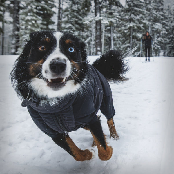 RUFFWEAR POWDER HOUND™