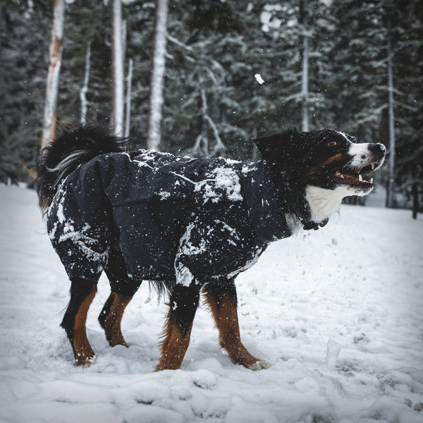 RUFFWEAR POWDER HOUND™