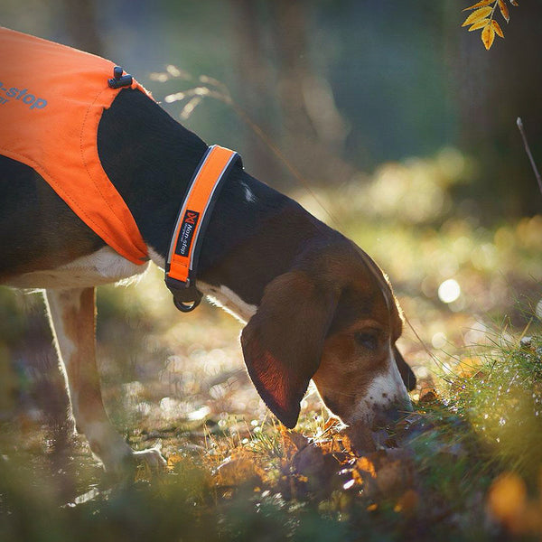 NON-STOP PROTECTOR HALSBAND