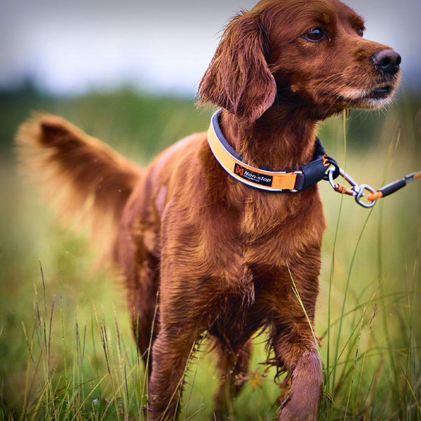 NON-STOP PROTECTOR HALSBAND