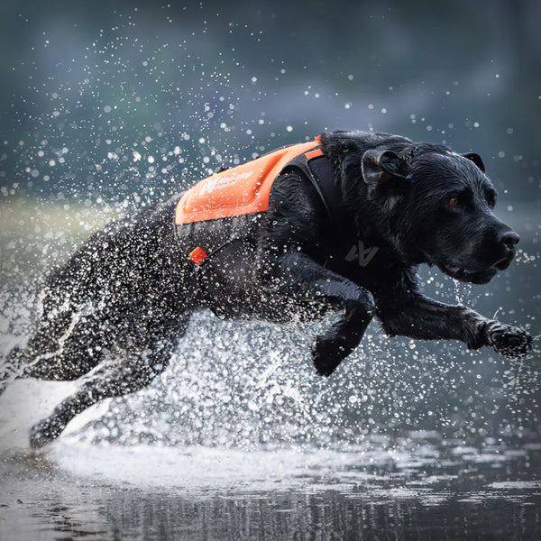 PROTECTOR NEOPRENE VEST