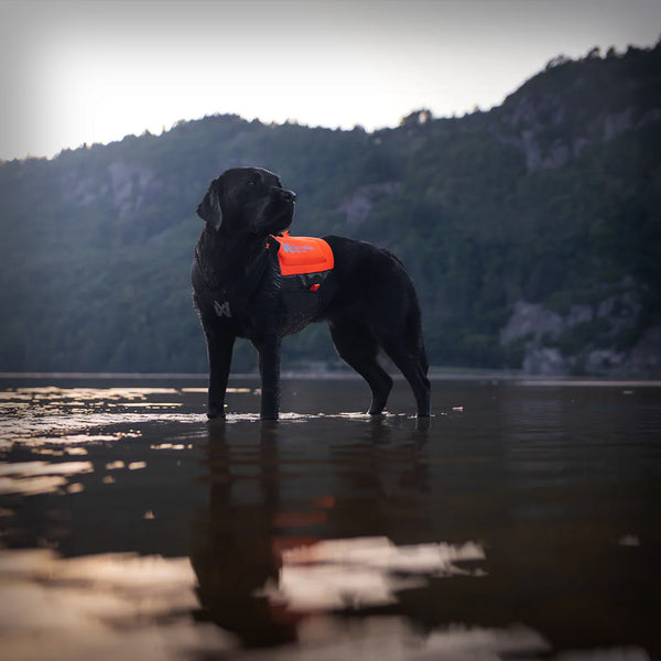 PROTECTOR NEOPRENE VEST