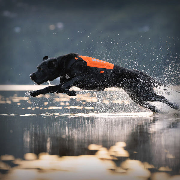 PROTECTOR NEOPRENE VEST