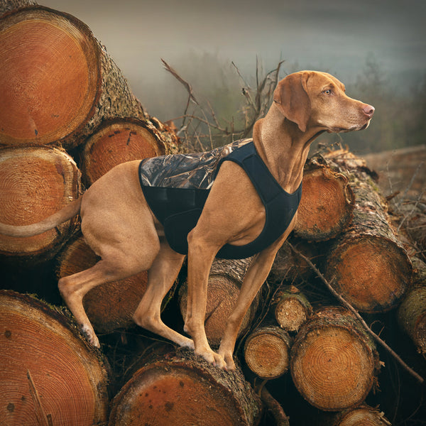 PROTECTOR NEOPRENE VEST LIGHT