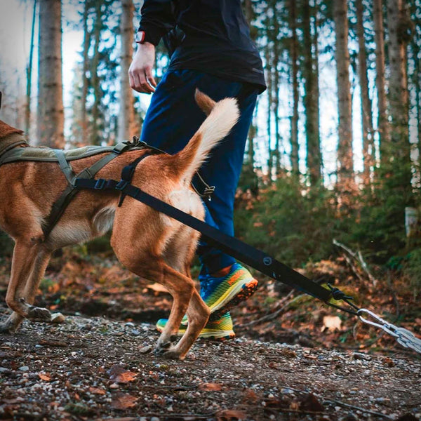 PULLING ATTACHMENT WD