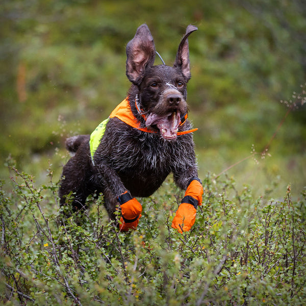 NON-STOP PROTECTOR VEST