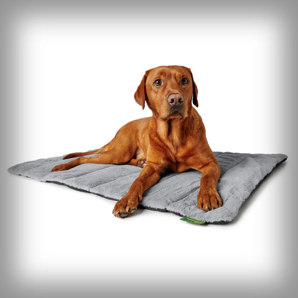 HUNTER REISEDECKE ROCKFORD