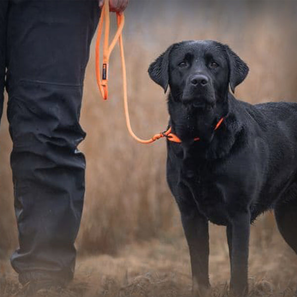 RETRIEVER LEASH
