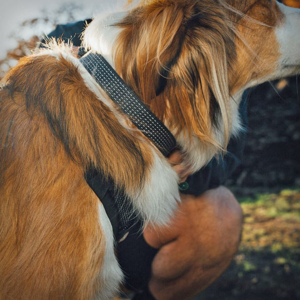 RIDGELINE HALSBAND