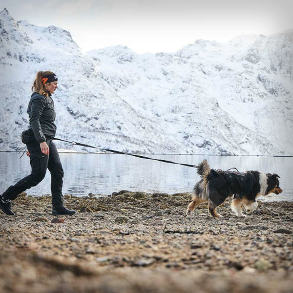 NON-STOP ROCK HARNESS LANG