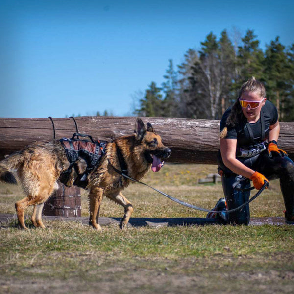 NON-STOP ROCK HARNESS LANG