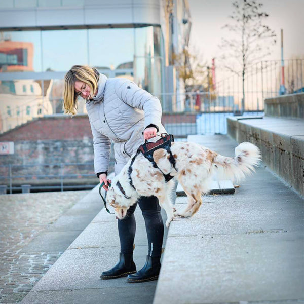 NON-STOP ROCK HARNESS LANG