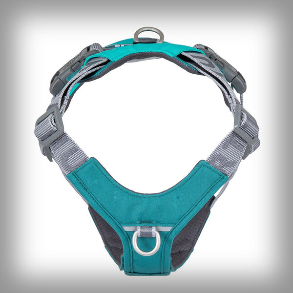 ROVER HARNESS