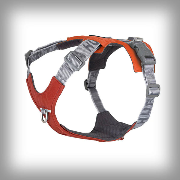 ROVER HARNESS