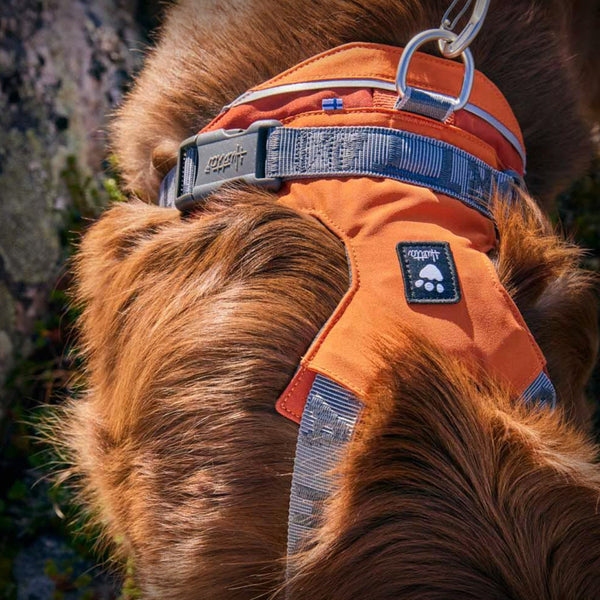 ROVER HARNESS
