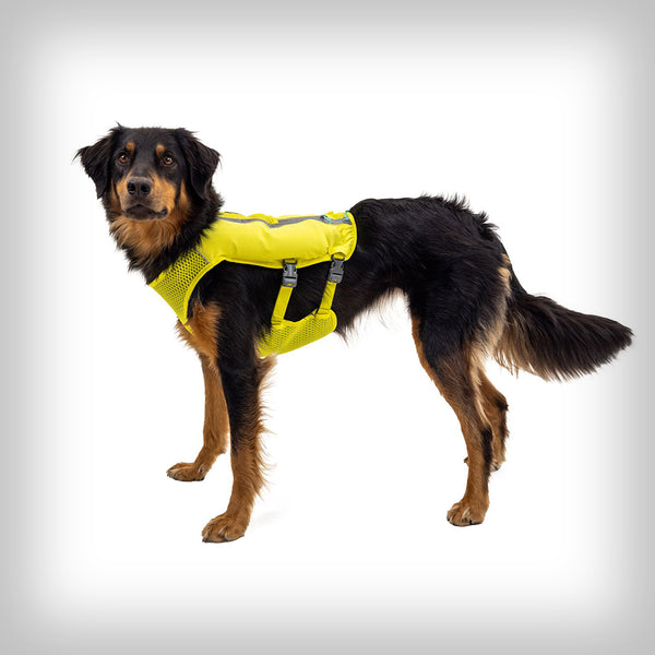 RUFFWEAR TRAIL RUNNER