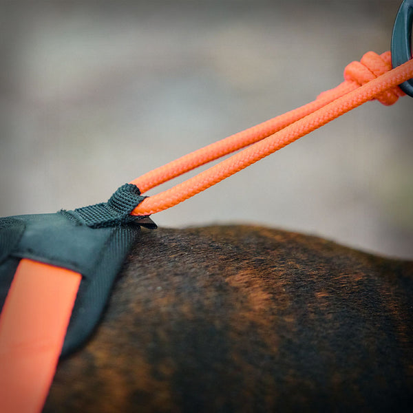 RUSH KURZ-ZUGGESCHIRR