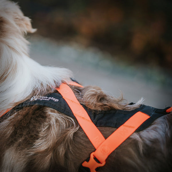 RUSH KURZ-ZUGGESCHIRR