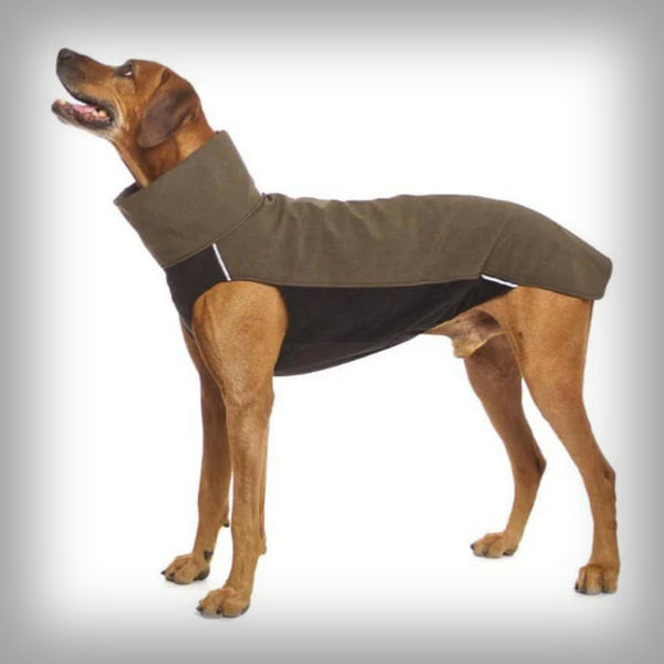 SOFA SOFTSHELL SPORT JACKE