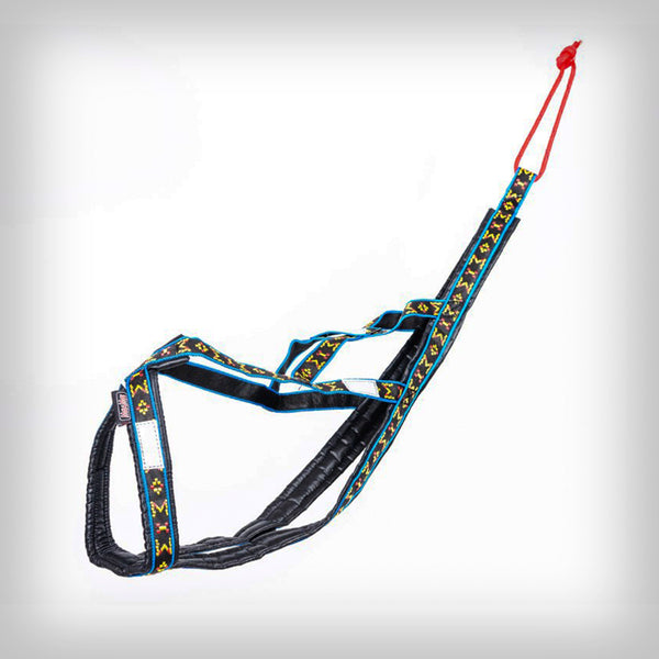 SIBIRIAN RACE ZUGGESCHIRR