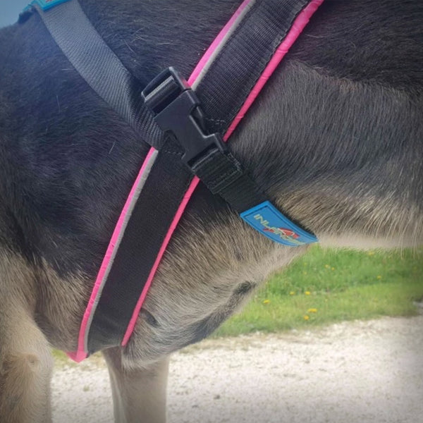 SICHERUNGS-BAUCHBAND FÜR GESCHIRRE